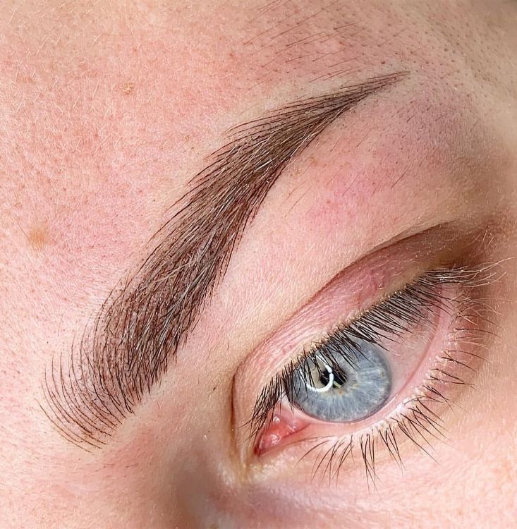 Master Training (Mikropigmentasyon)